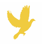 Zakonsko utvrđivanje Slavenske narodnosti na duhu